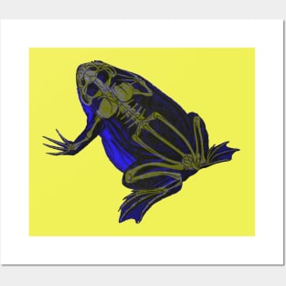 Skeleton Frog Interactive Yellow&Blue Filter #2 By Red&Blue Posters and Art